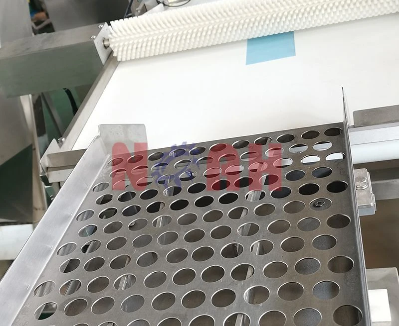 Machine de remplissage et de capsulage automatique de tubes de comprim&eacute;s NTF-600