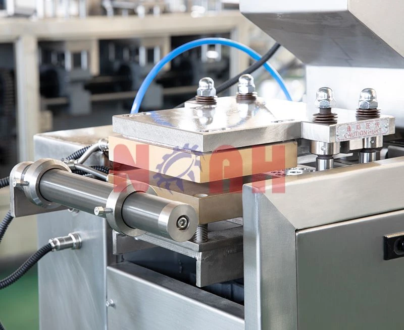 Machine d'emballage sous blister &agrave; plaques plates DPB-150